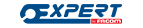 Expert